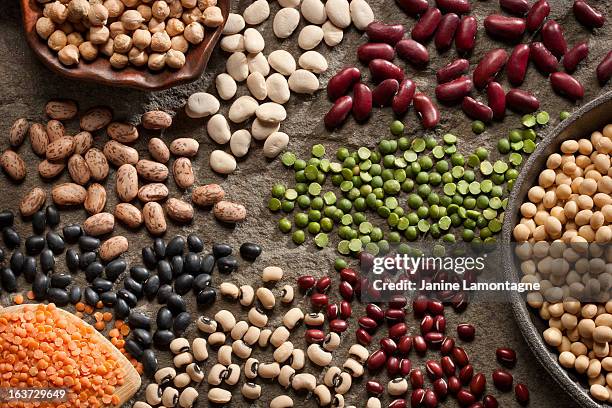 organic legumes - bean stockfoto's en -beelden