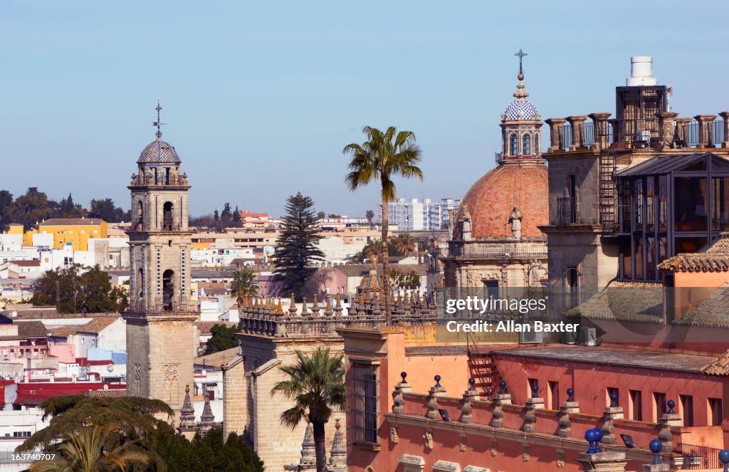 Dome of Jerez de la Frontera Cathedral
