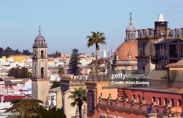 dome of jerez de la frontera cathedral - jerez de la frontera photos et images de collection