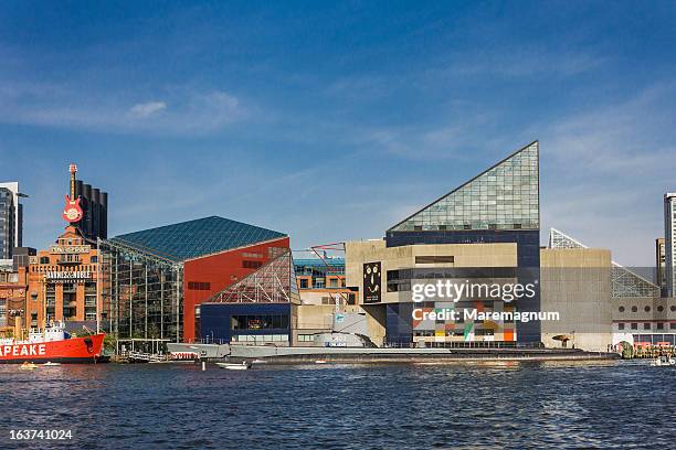 inner harbor, the national aquarium - national aquarium stock pictures, royalty-free photos & images