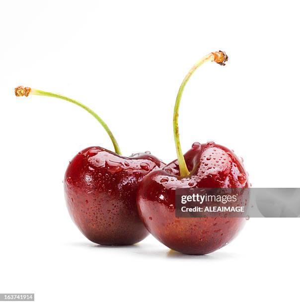 two wet cherries on a white background - cherry stock pictures, royalty-free photos & images