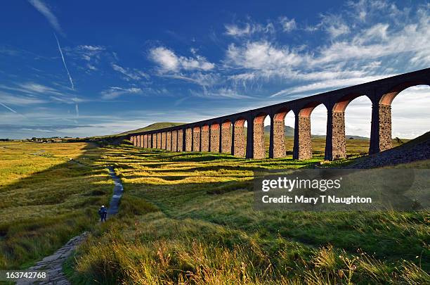Lithograph Ribblehead 450 Ribblehead Viaduct Stock Photos, High-Res Pictures, and Images ...