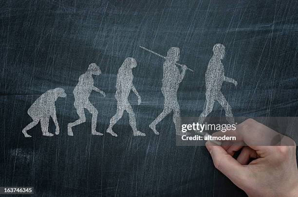 進化 - ネアンデルタール人 ストックフォトと画像