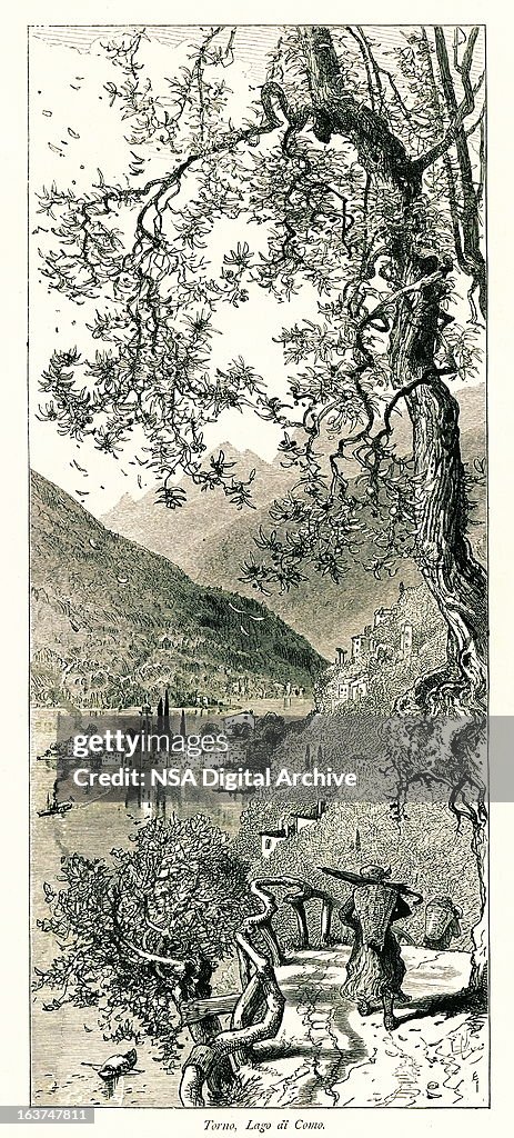 Torno, Lake Como, Italy I Antique European Illustrations