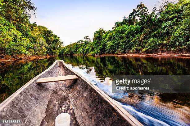 sailing on indigenous wooden canoe in the amazon state venezuela - venezuela stockfoto's en -beelden
