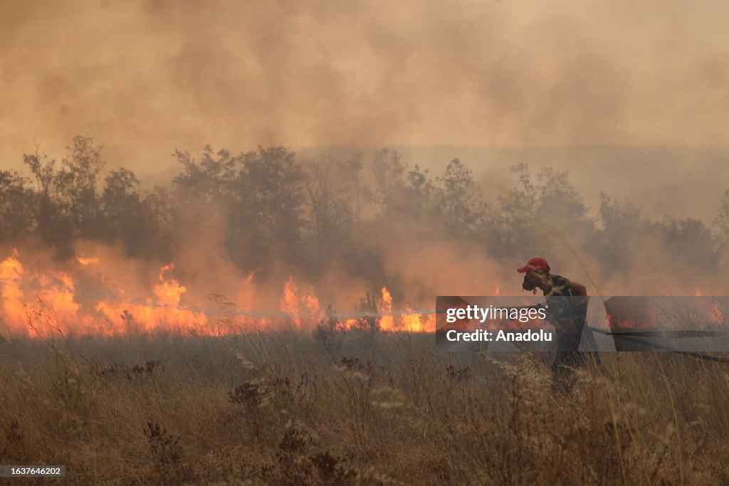 Wildfires continue to ravage Greece on the fourteenth day