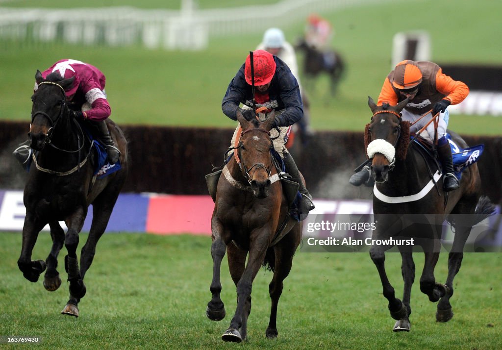 Cheltenham Festival - Cheltenham Gold Cup