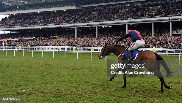 Barry Geraghty riding Bobs Worth win The Betfred Cheltenham Gold Cup Steeple Chase during Cheltenham Gold Cup Day at Cheltenham racecourse on March...