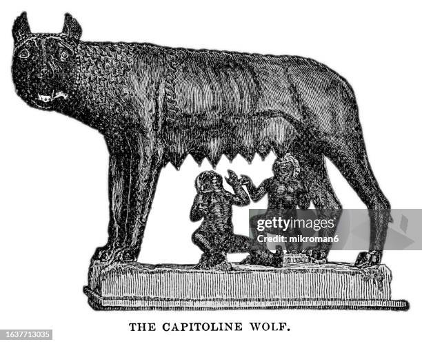 old engraved illustration of romulus and remus suckled by a she-wolf - la lupa capitolina (the capitoline wolf), wolf-figure is etruscan, 5th century bc., figures of romulus and remus were added in the 15th century ad by antonio del pollaiuolo - la italia stock pictures, royalty-free photos & images