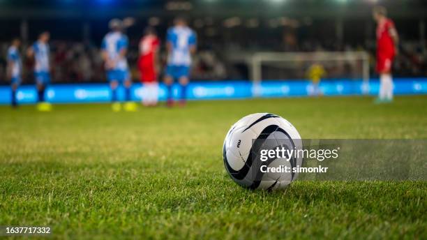 fußball auf rasen - fussball rasen stock-fotos und bilder