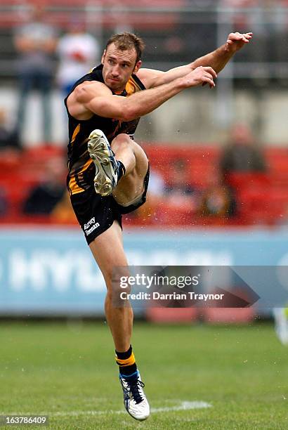 Shane Tuck of the tigers kicks the ball during the AFL practice match between the Richmond Tigers and the Western Bulldogs at Visy Park on March 16,...