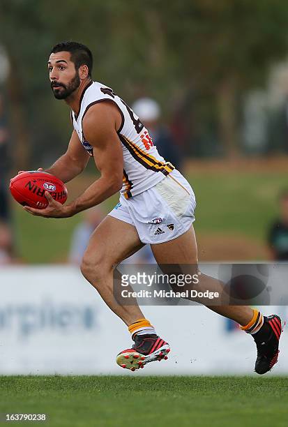 Paul Puopolo of the Hawks looks ahead with the ball during the AFL NAB Cup match between the North Melbourne Kangaroos and the Hawthorn Hawks at...