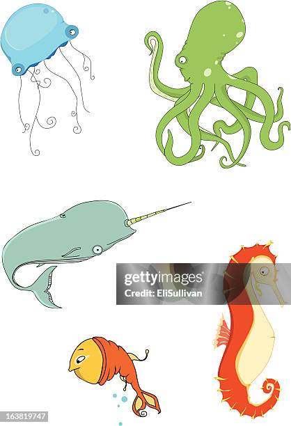 sea life - narwhal stock illustrations