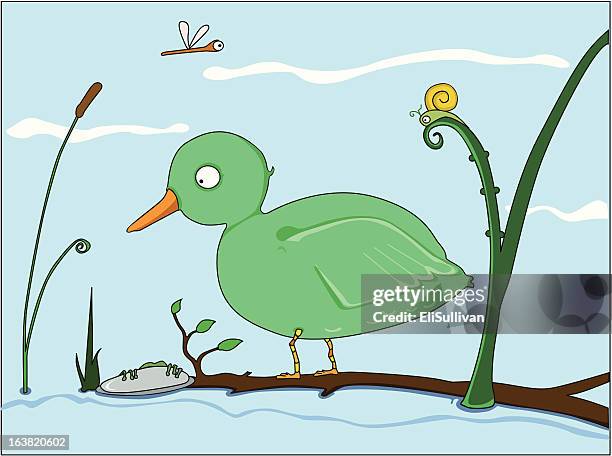 duck - snail bog stock illustrations
