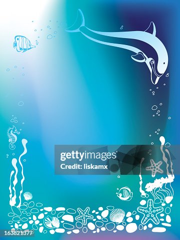 Dolphin Dolphin