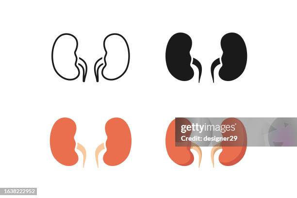 kidney icon set. - human circulatory system stock illustrations