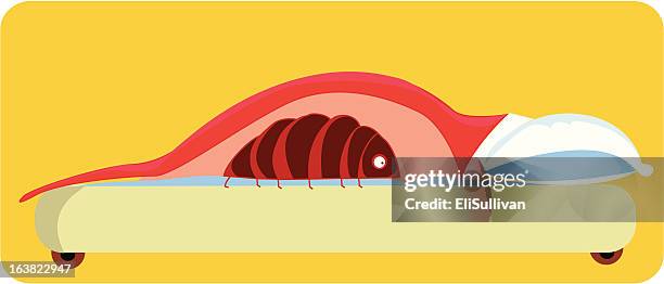 bedbug - bed bug stock illustrations