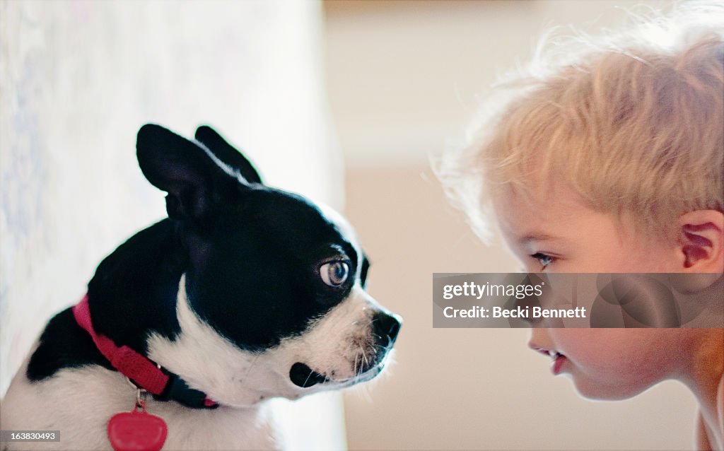 Dog and Toddler boy staring at eachother