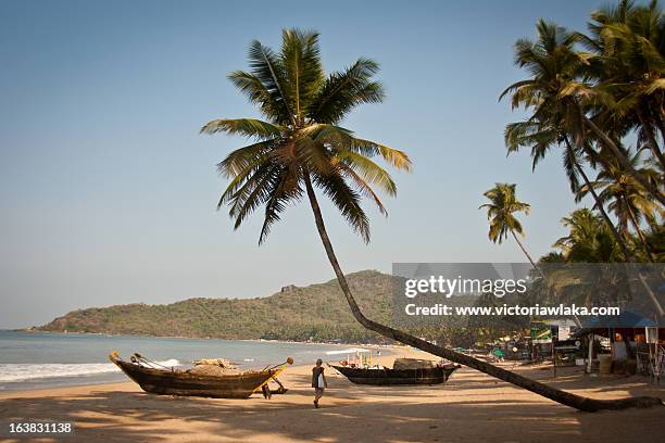 palolem beach - goa beach bildbanksfoton och bilder