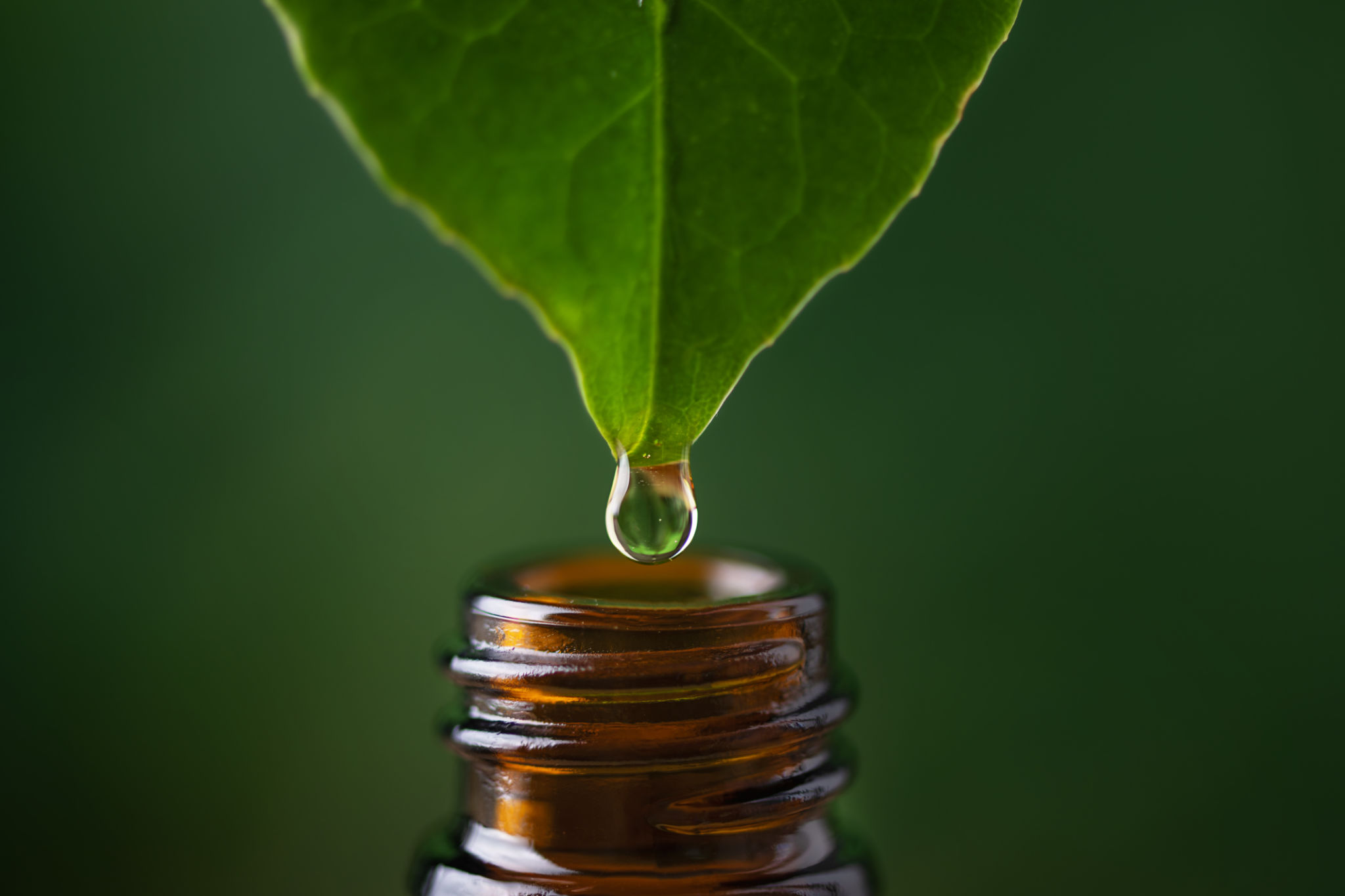 Alternative herbal medicine concept. Herbal essence dropping. Alternative herbal medicine concept. Herbal essence dropping.