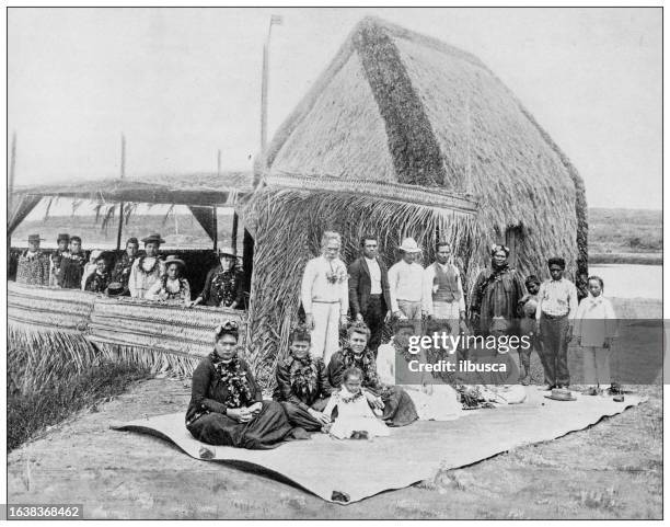 hawaii, antique photo: picnic - big island hawaii islands stock illustrations