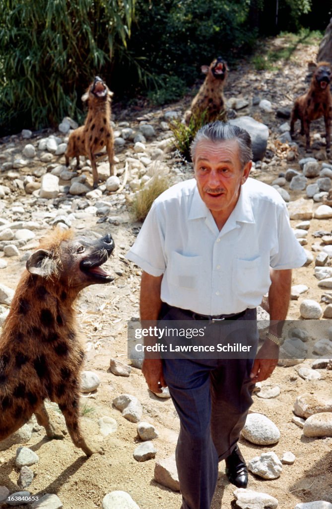 Walt Disney Among The Hyenas