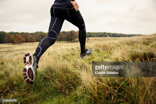woman running in nature with autumn colors - leggings fotografías e imágenes de stock