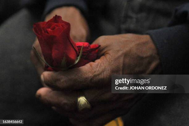 Relative of a victim of the slaugther of the villa Dos Erres holds a rose on August 2, 2011 in Guatemala City during the trial of military men...