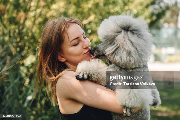 beaming young woman gently holding in hands and kissing furry gray poodle - women licking women stock pictures, royalty-free photos & images