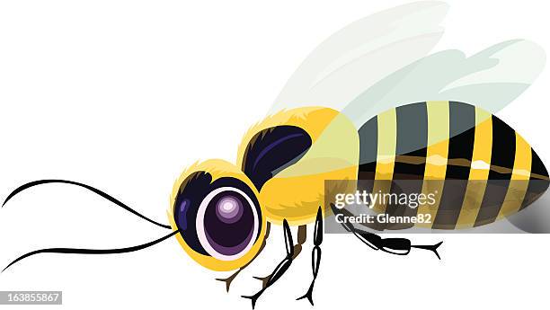 honeybee - bee stock-grafiken, -clipart, -cartoons und -symbole