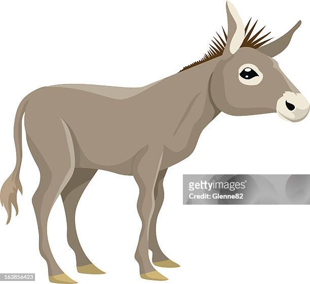 ilustraciones, imágenes clip art, dibujos animados e iconos de stock de burro de pie - donkey