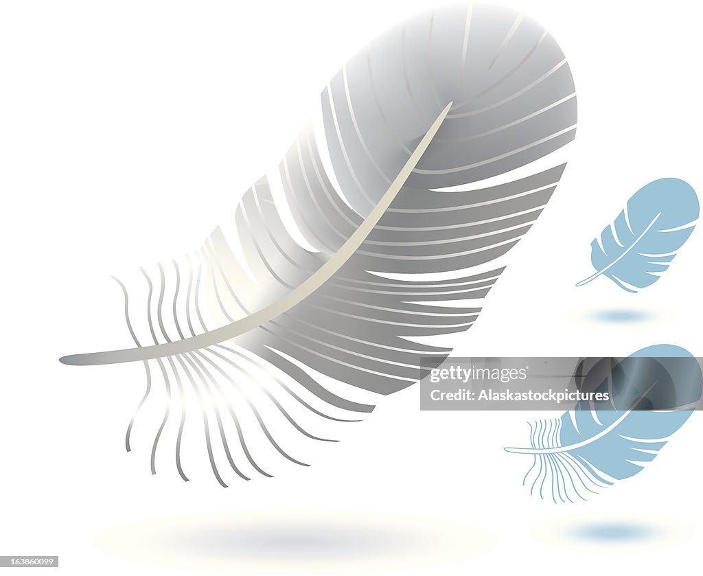 Feather