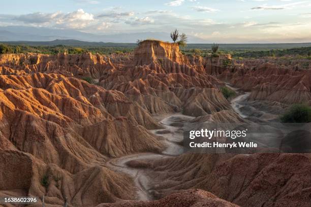 colombia - huila stock pictures, royalty-free photos & images