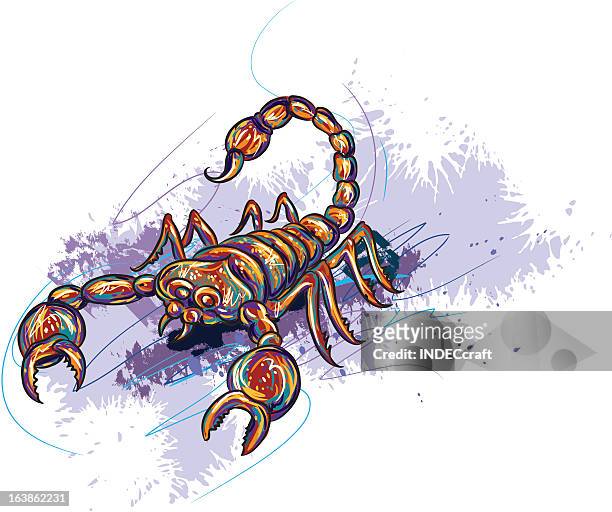 scorpio - the scorpions stock illustrations