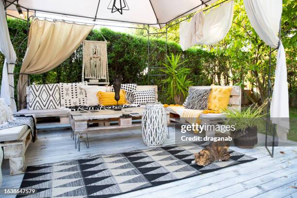 the cat is ready to hunt - gazebo stock pictures, royalty-free photos & images