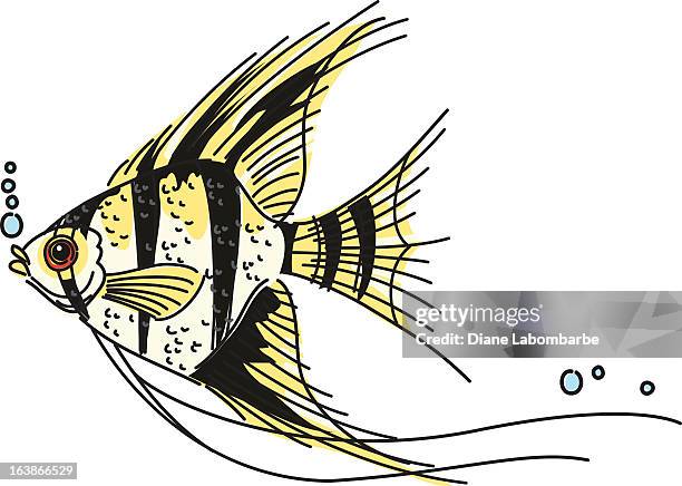 ilustraciones, imágenes clip art, dibujos animados e iconos de stock de pez ángel bocetos - angelfish