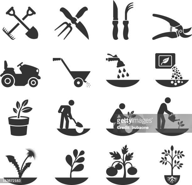 illustrazioni stock, clip art, cartoni animati e icone di tendenza di estate giardinaggio e coltivazioni agricole con attrezzature - tagliaerba