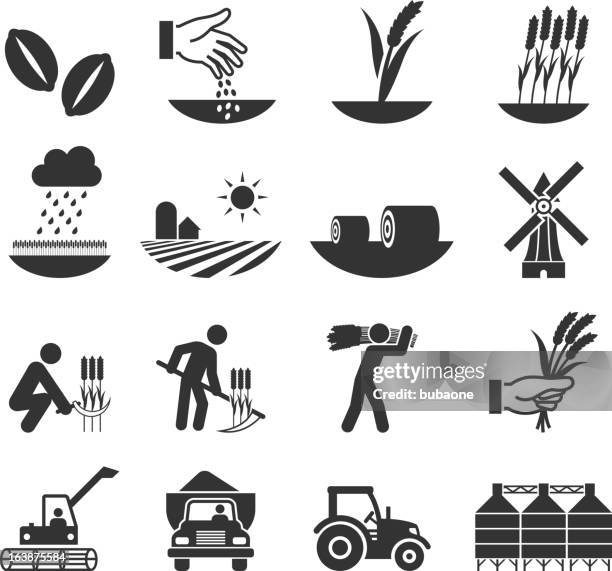 weizen ernte wachstum und ausrüstung schwarz & weißen icon-set - agriculture icons stock-grafiken, -clipart, -cartoons und -symbole