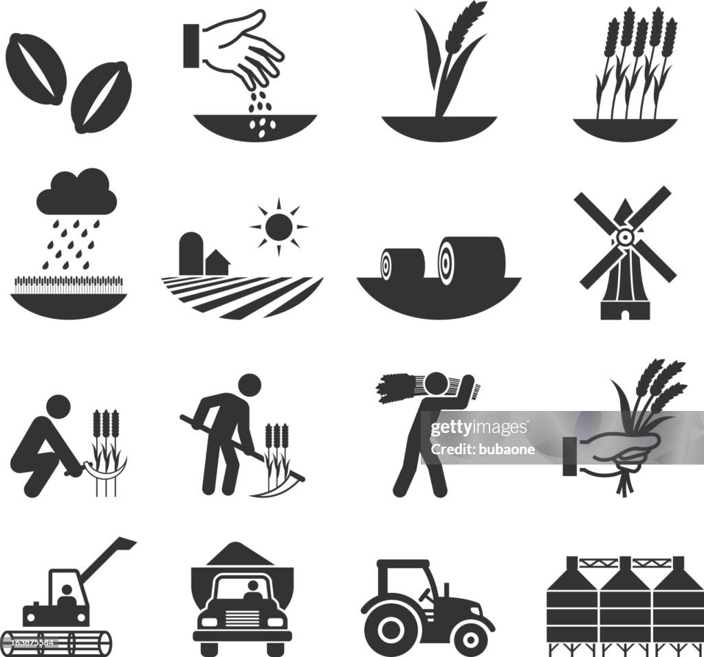 Wheat harvest growth and equipment black & white icon set