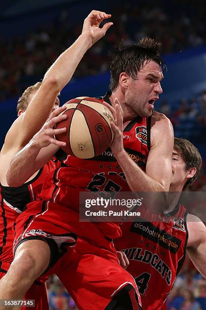 Jeremiah Trueman of the Wildcats pulls down a rebound during the round 23 NBL match between the Perth Wildcats and the Cairns Taipans at Perth Arena...