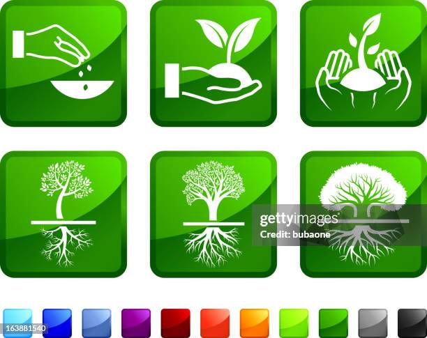 baum pflanzen und wachsen lizenzfreie vektor icon set aufkleber - ast baum hand frühling stock-grafiken, -clipart, -cartoons und -symbole