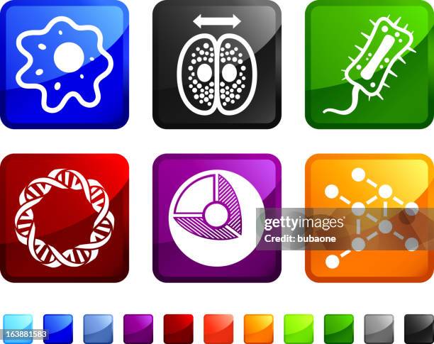 biology and microscopic organisms royalty free vector icon set stickers - rabies stock illustrations