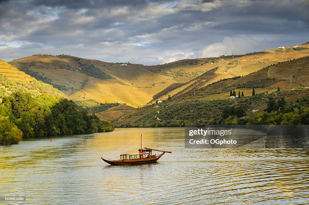 Boat cruising down river at sunset next to terraced vineyards