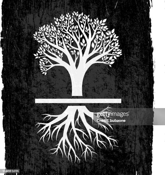 Maple Tree Roots Vector 440 Maple Tree With Roots Stock Photos, High-Res Pictures, and Images ...