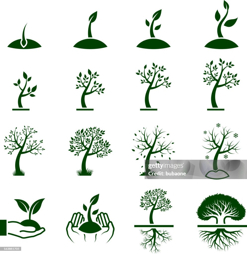 Tree Growing Process green royalty free vector icon set