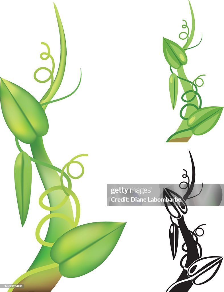 Simple Beanstalk