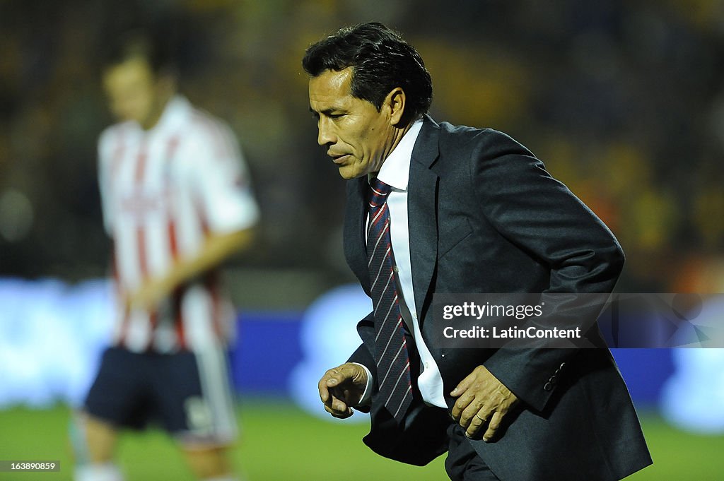 Tigres v Chivas - Clausura 2013 Liga MX