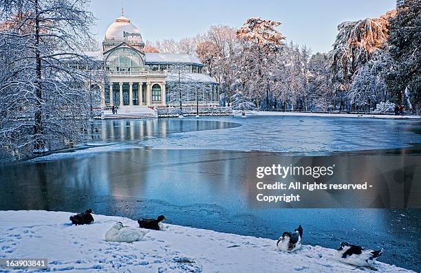 crystal palace. madrid - madrid snow stock pictures, royalty-free photos & images