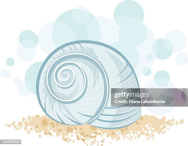 cute shell icon - sand shells stock illustrations