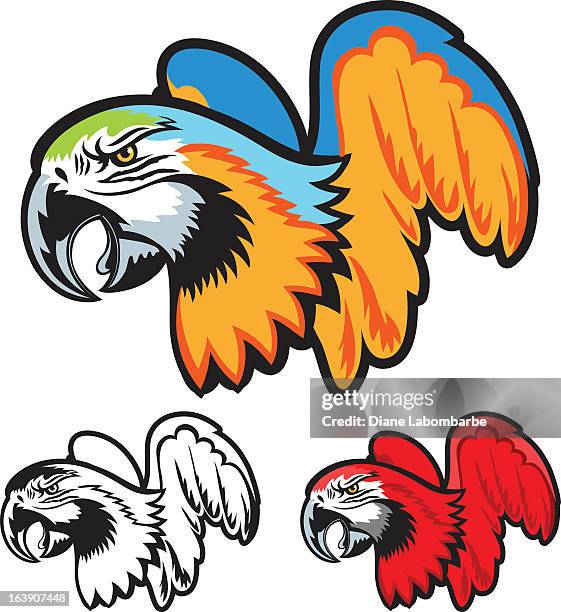 Parrot Raging 190 Angry Parrot Stock Photos, High-Res Pictures, and Images - Getty Images